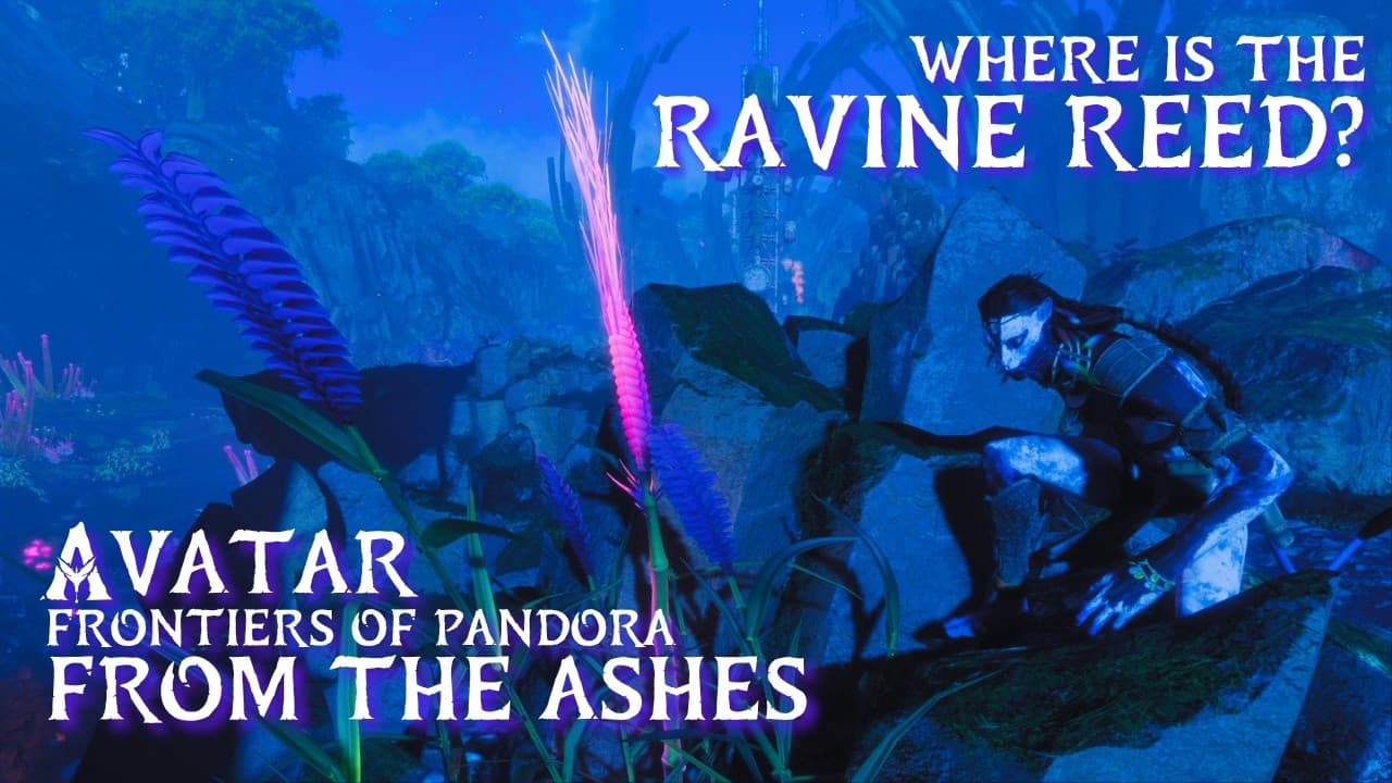 Ravine Reed Location Guide • Avatar: Frontiers of Pandora: From the Ashes